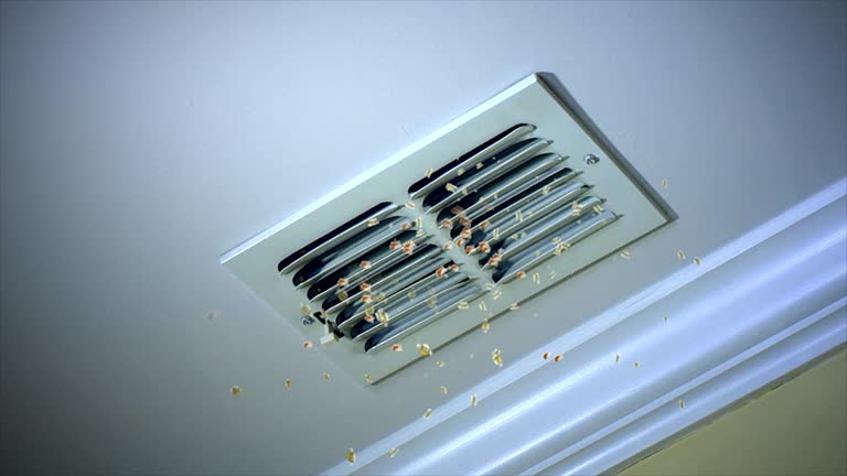 Best Affordable Air Duct Cleaning  in Viera West, FL