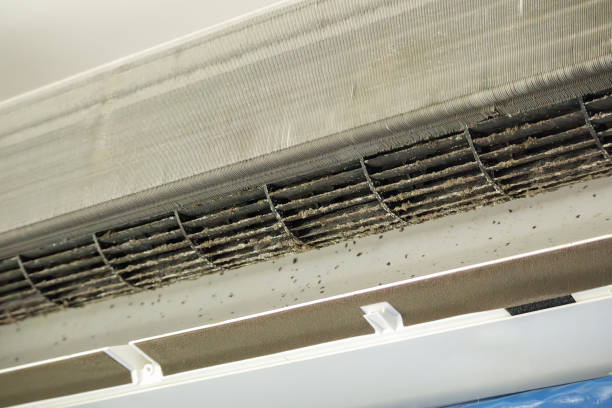 Best Ductwork Cleaning Services  in Viera West, FL